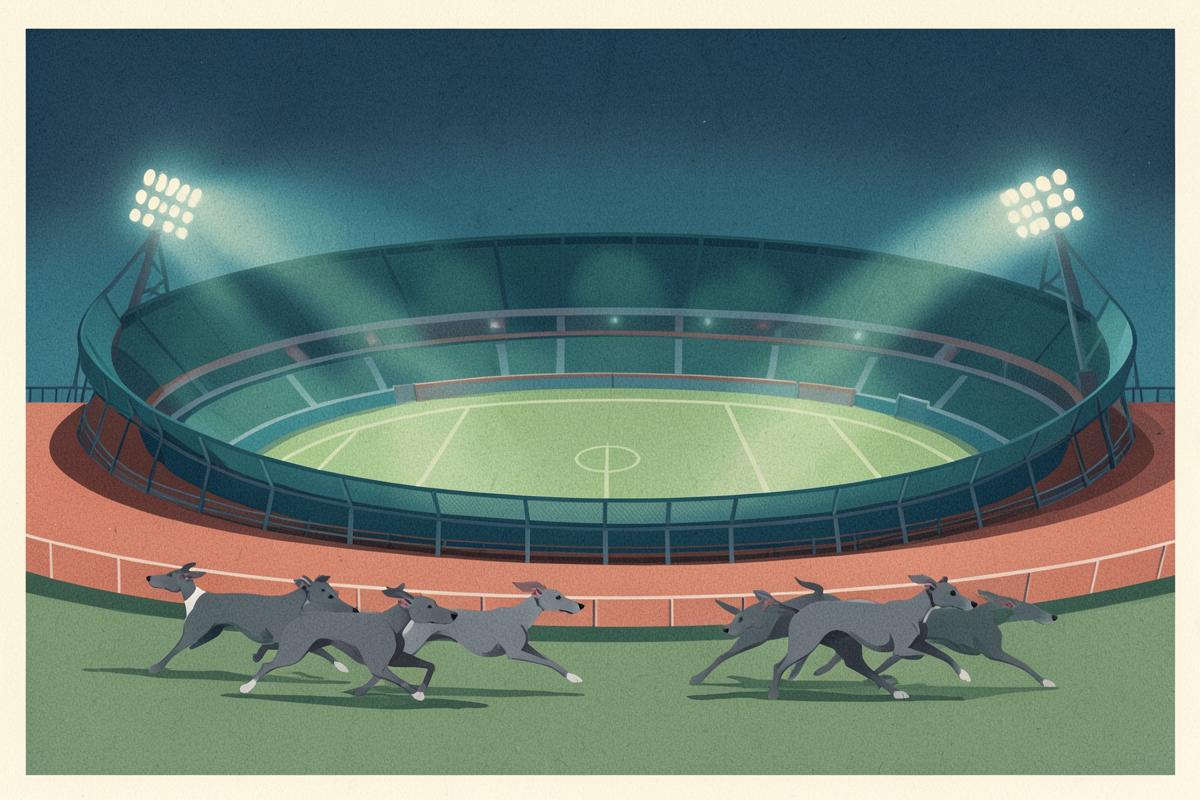Illustration of a floodlit greyhound and speedway stadium at night